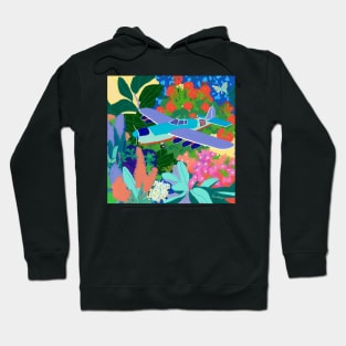 Private plane tour II Hoodie